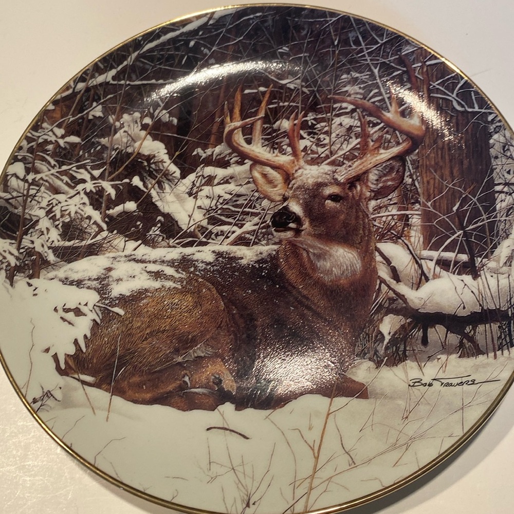 “Winter Stag”